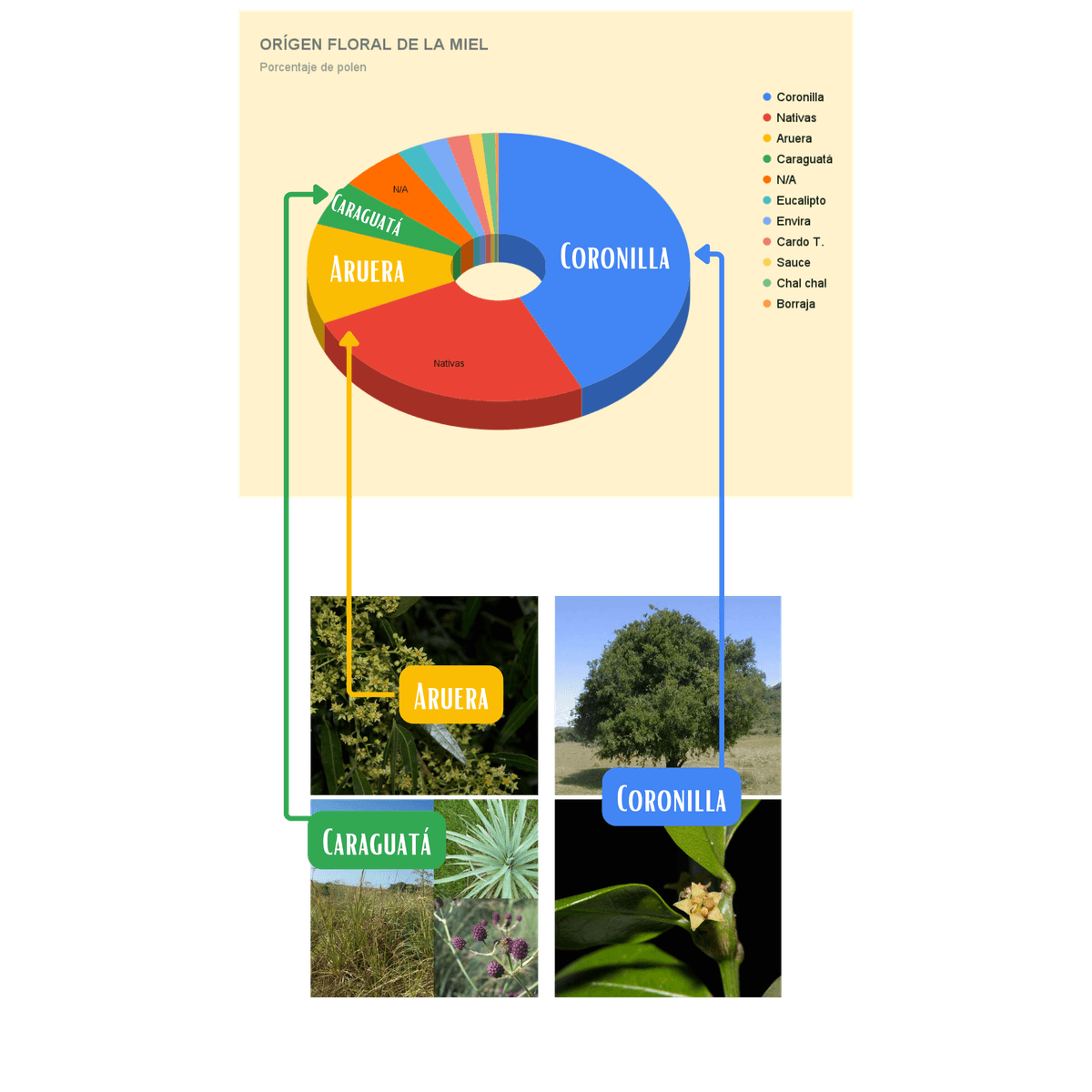 Origen floral de las abejas Ecoapi — historia botánica