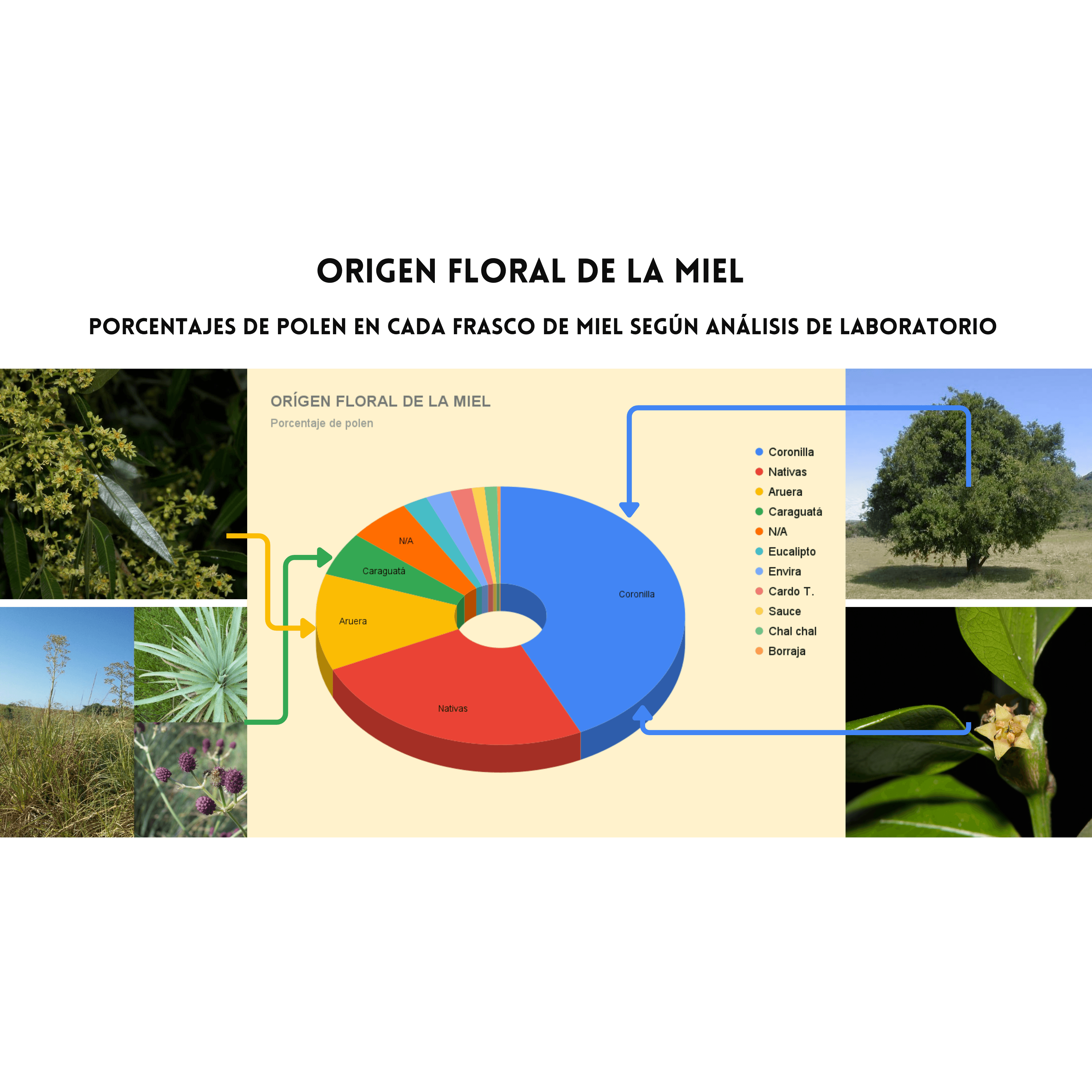 Circuito botánico de las abejas Ecoapi — origen floral