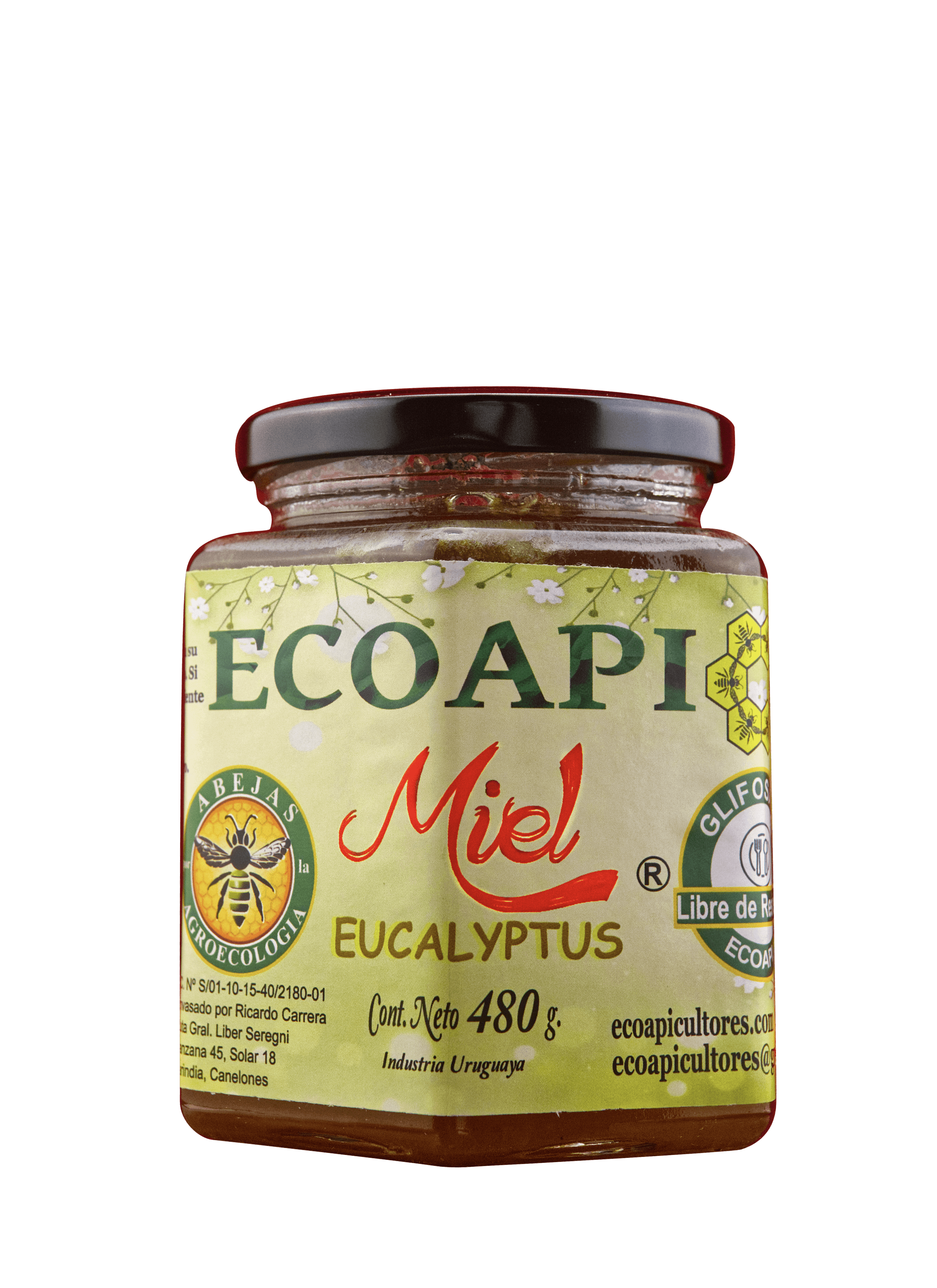 Miel de Eucalyptus 480g