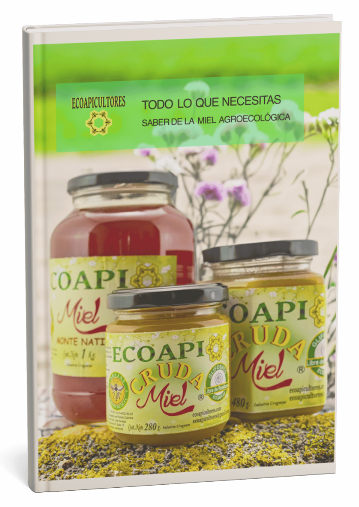 Guía Miel Bajo Prácticas Agroecológicas